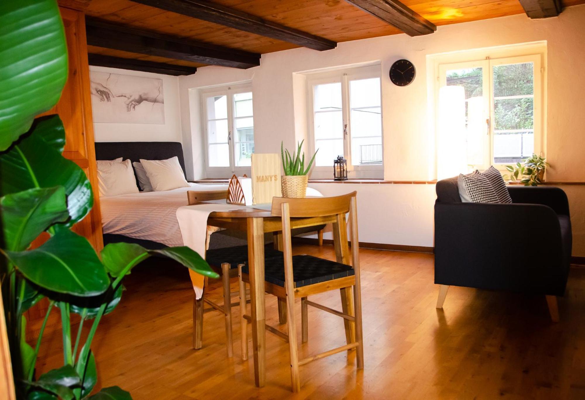 Many'S Historical City Central Apartments Zurich Ngoại thất bức ảnh